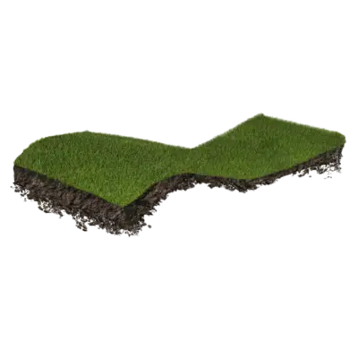 Sod
