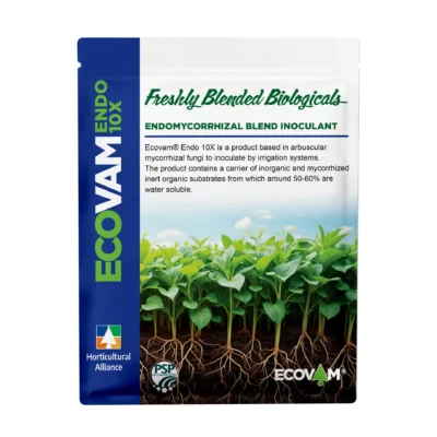 ECOVAM® Endo 10X