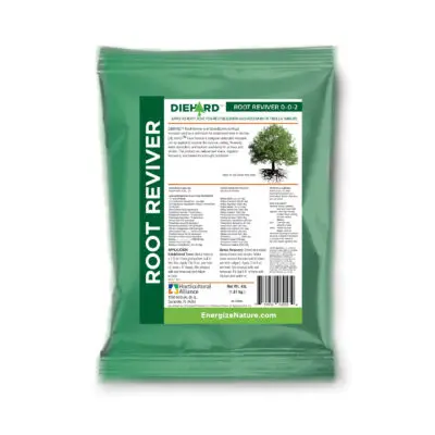 Tree root revitalization product – Vertimulch application of DIEHARD Root Reviver to restore declining trees with mycorrhizal fungi and improved soil health.