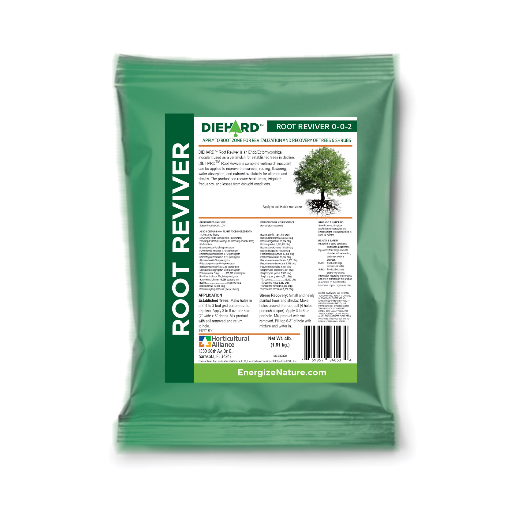 【極美品】Terrell L. Root症例集　Terrell L.Root 極美品】Terrell L. Root症例集 Terrell L.Root 極美品】Terrell L