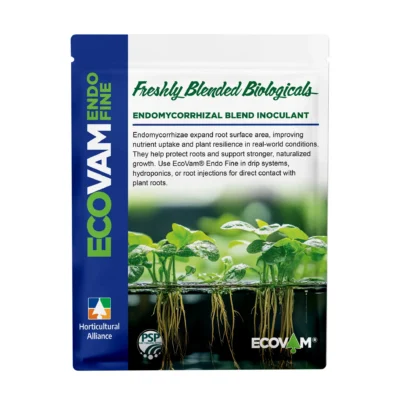 ECOVAM® Endo Fine