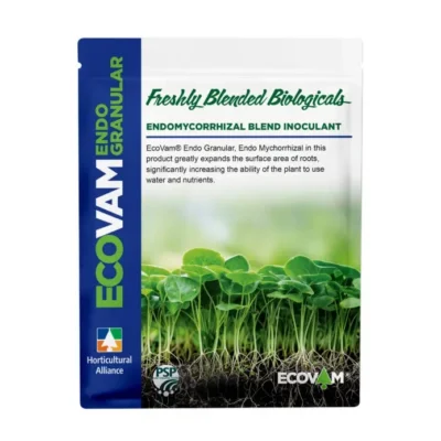 ECOVAM® Endo Granular