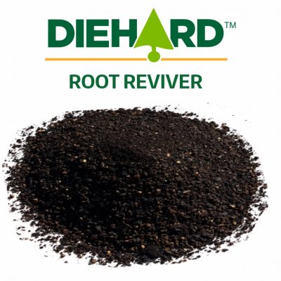Diehard Root Dip 15 oz package