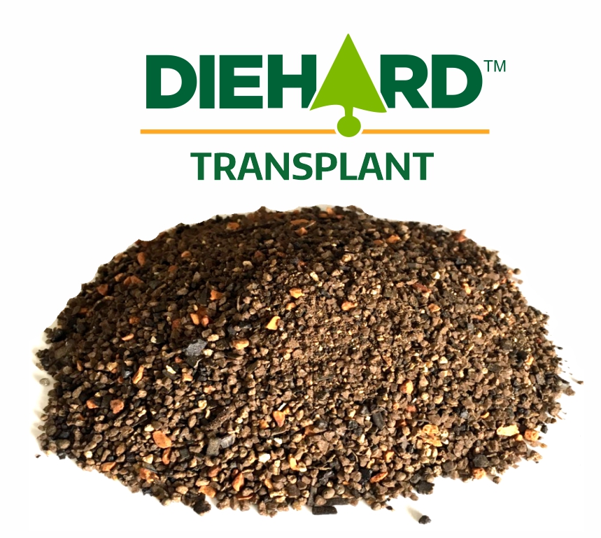 Diehard Root Dip 15 oz package