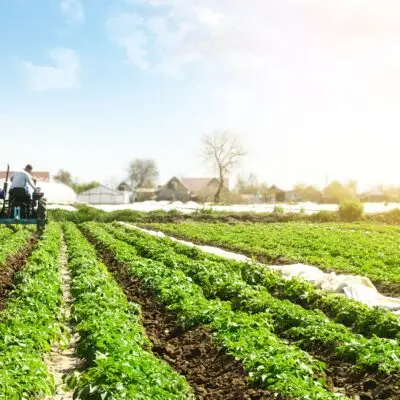Los agricultores ecológicos empiezan aquí