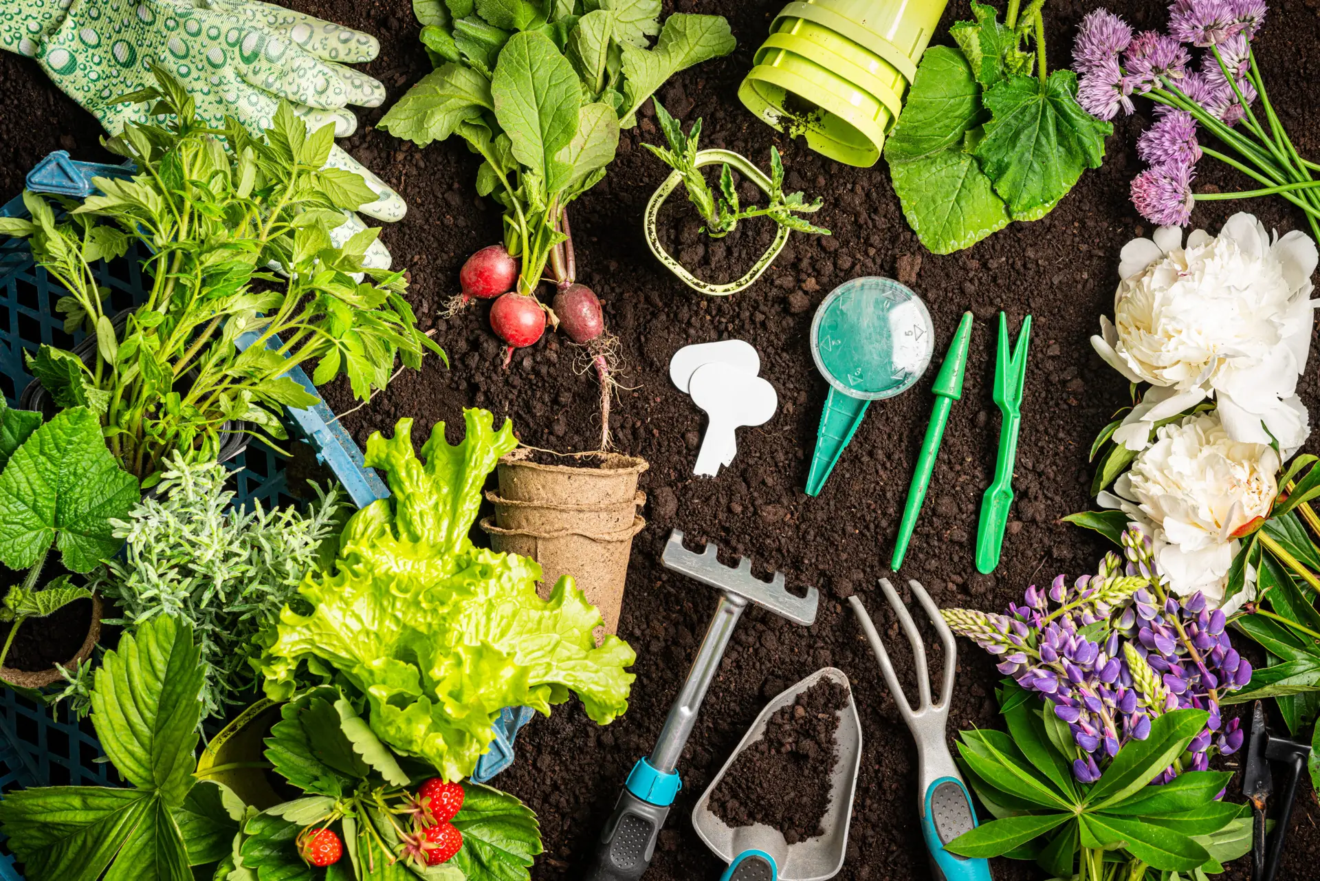 Horticultural Alliance - Grow with Confidence